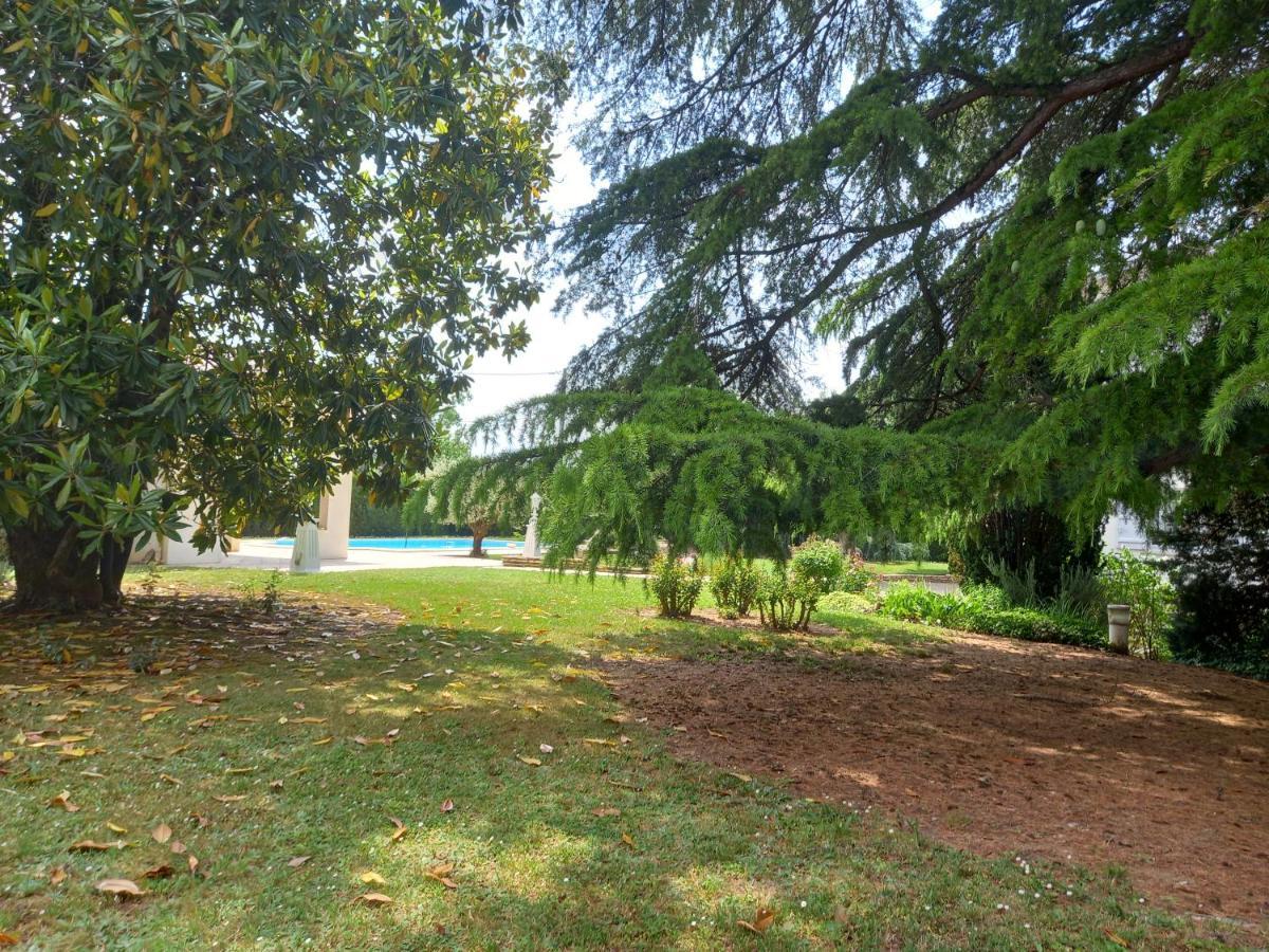 La Maison Basque Sainte-Livrade-sur-Lot Экстерьер фото