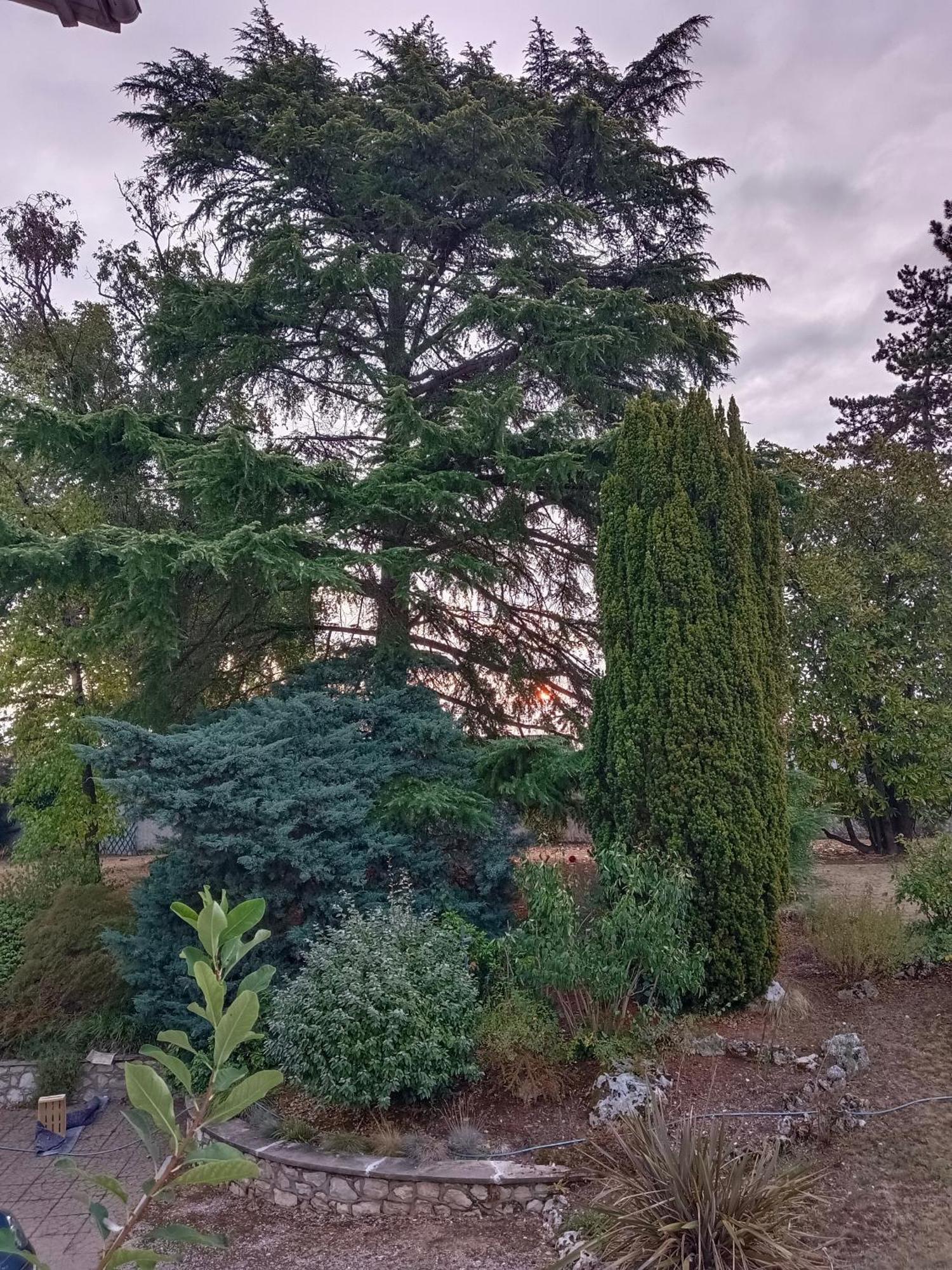 La Maison Basque Sainte-Livrade-sur-Lot Экстерьер фото